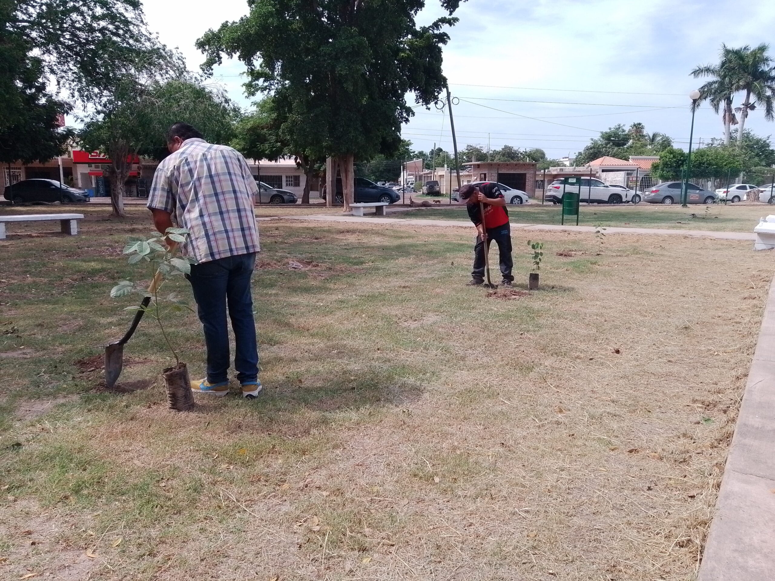 Grupo Oxxo y Departamento de Ecología en Guasave entregan parque rehabilitado en la colonia Petatlán