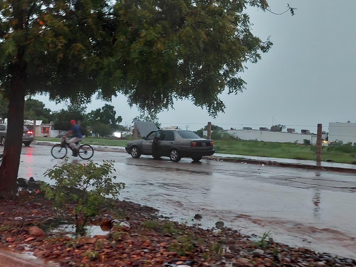 Lluvias dejan diversos sectores de la ciudad sin electricidad y viviendas afectadas en San Martín