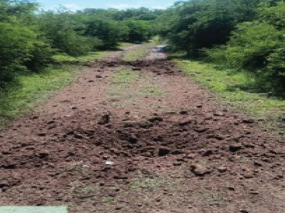 Localiza marina arsenal y desmantelan campamento durante operativo en Elota