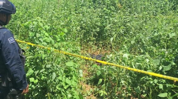 Localizan sin vida a un hombre de la tercera edad en la carretera Los Mochis-Choix