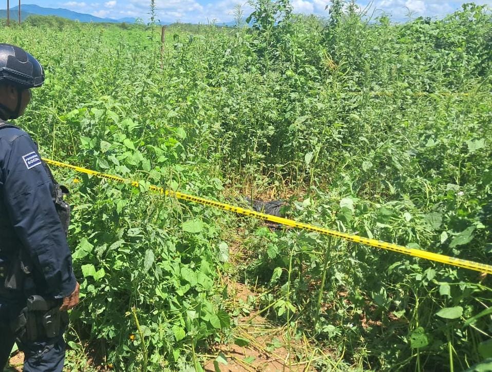Localizan sin vida a un hombre en la carretera Los Mochis-Choix