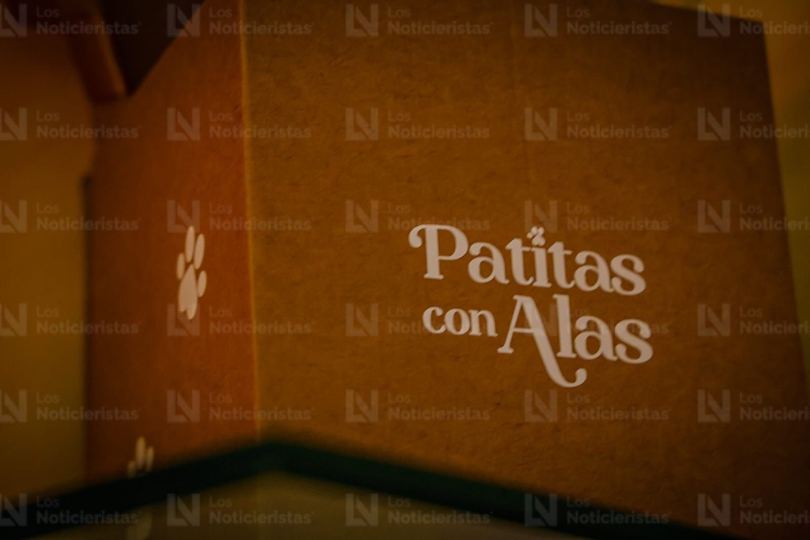 Patitas con Alas, funeraria de mascotas
