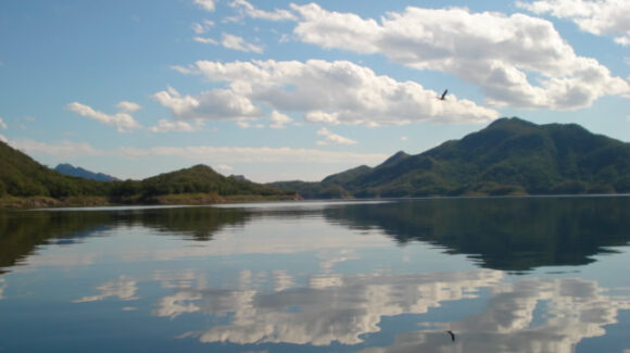 Estas son Presas en Sinaloa a las que se les extrae agua; embalses alcanzan 25.2 %