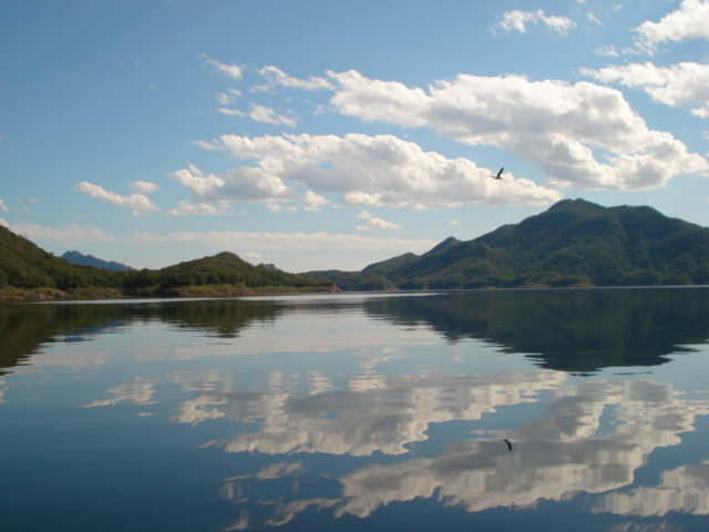 Presa Adolfo López Mateos