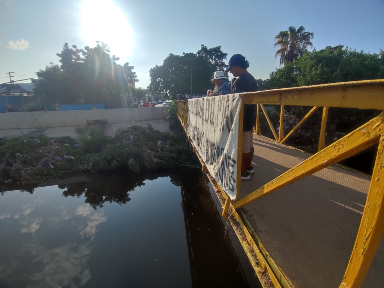 Se manifiestan en el arroyo Jabalines de Mazatlán por impacto a la flora tras inundaciones 4