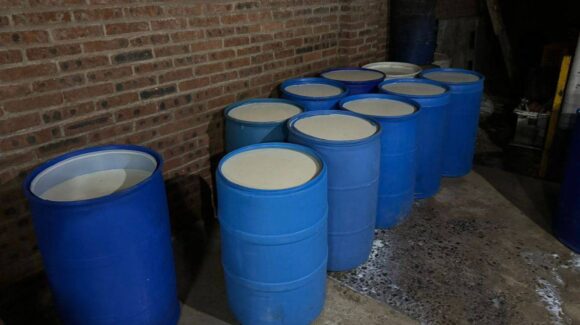 ‘Lechicoleo’: el nuevo huachicol de leche que amenaza la salud y economía en Guanajuato