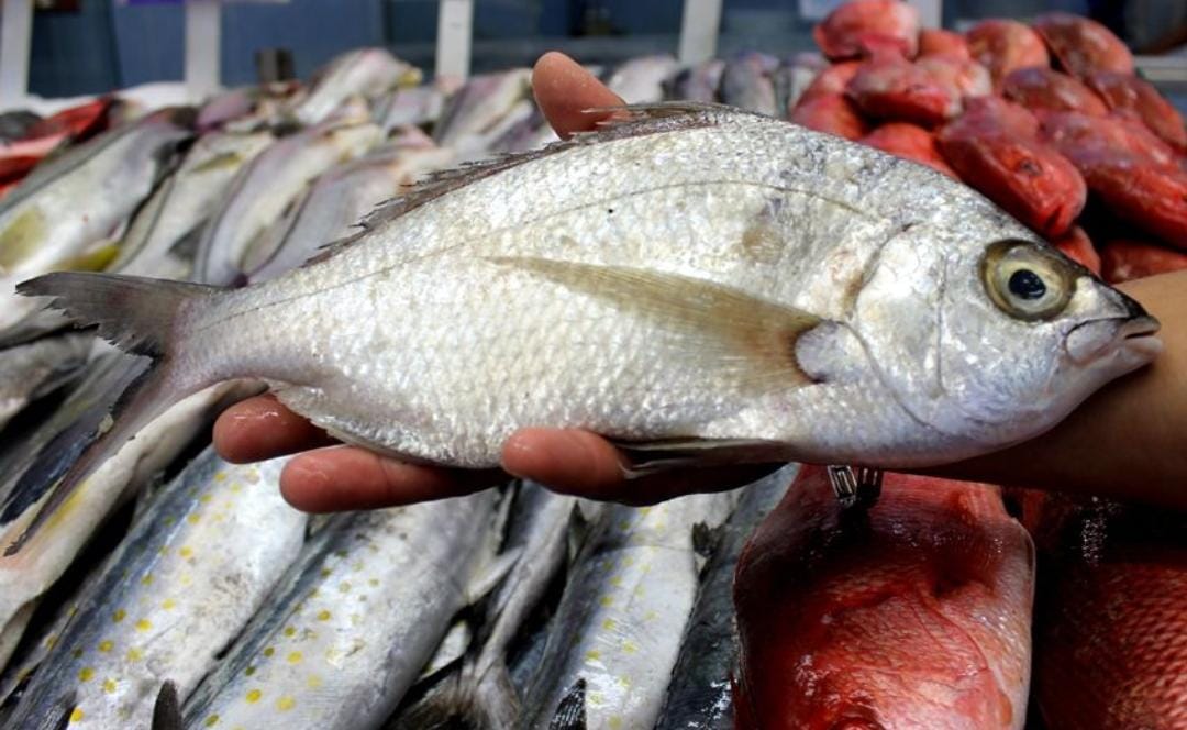 Veda de especies marinas en México