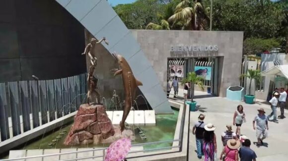 Por crisis y bajas entradas al Gran Acuario Mazatlán se deben 18 meses de renta al Ayuntamiento: Tesorería