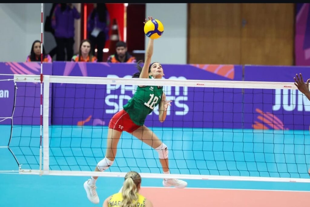 Andrea Félix