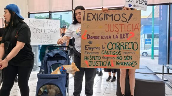 ¡Por Esperanza, por Bobby, por todos! Exigen animalistas en Fiscalía se actúe contra agresores de animales