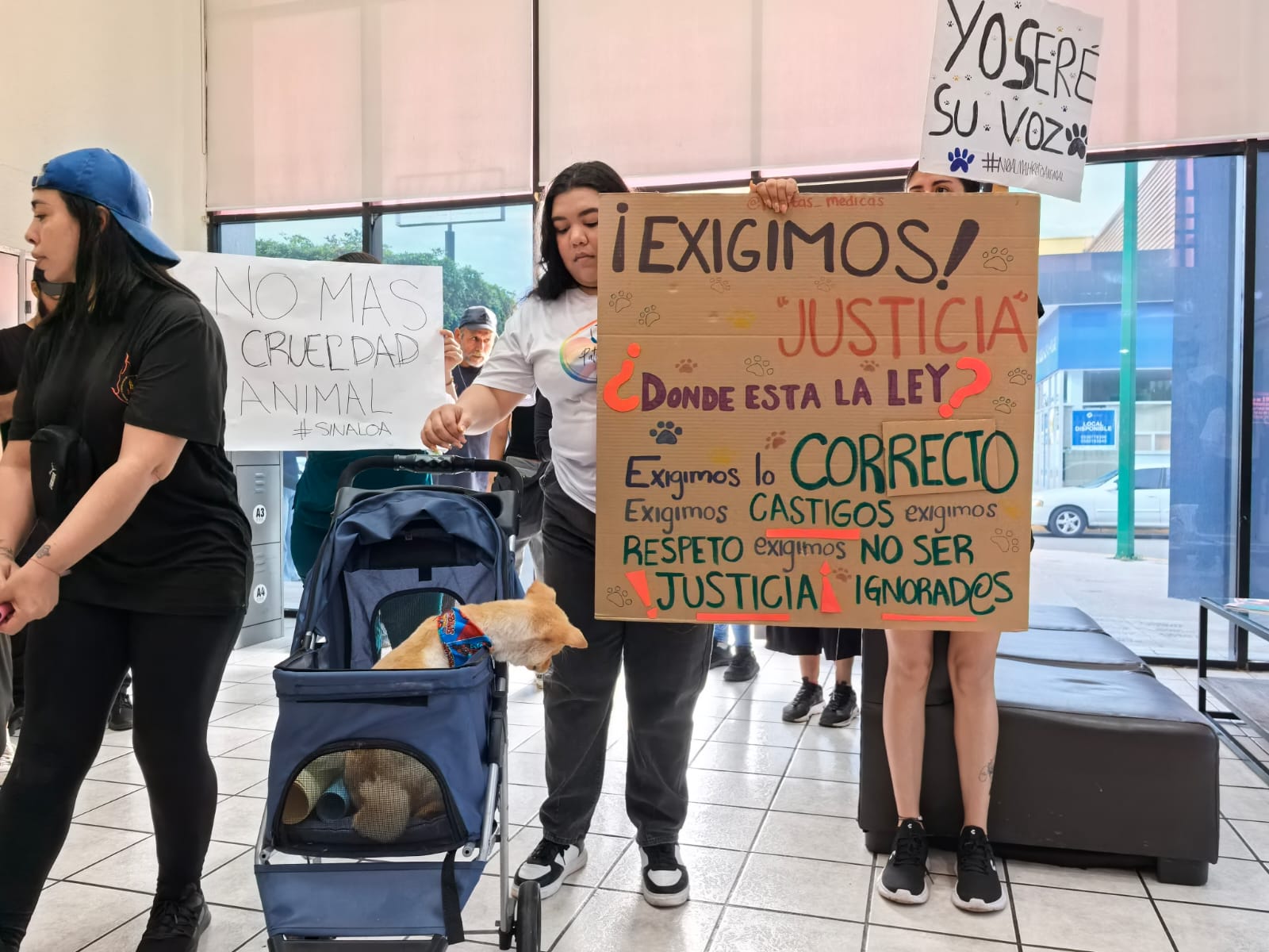 animalistas en fiscalia de sinaloa