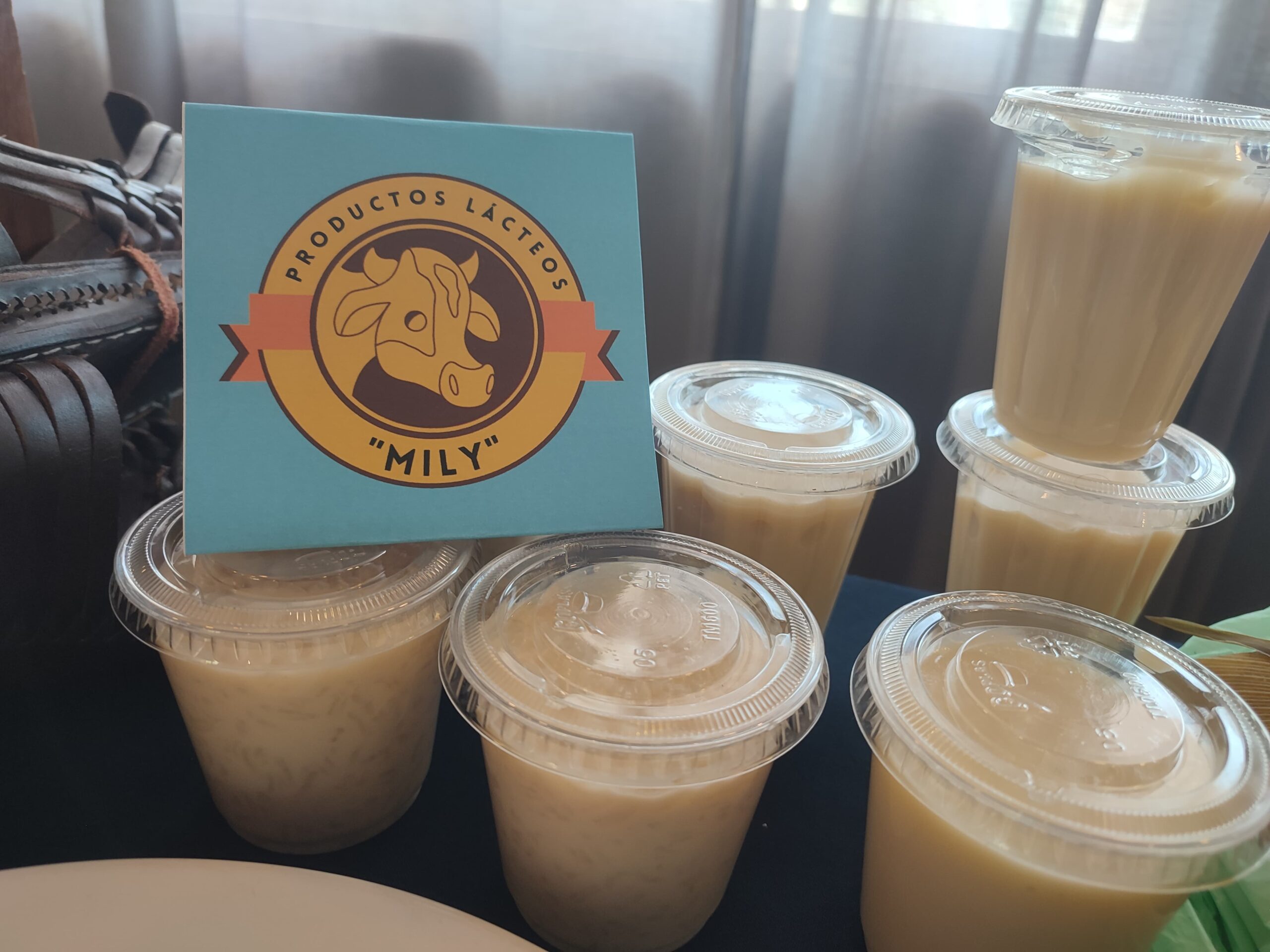 Habrá feria Gastronómica y Artesanl en La Noria, Mazatlán