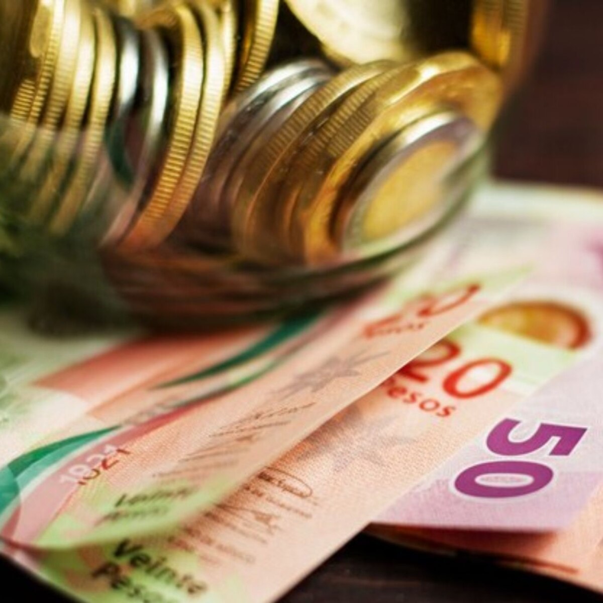 apoyos economicos