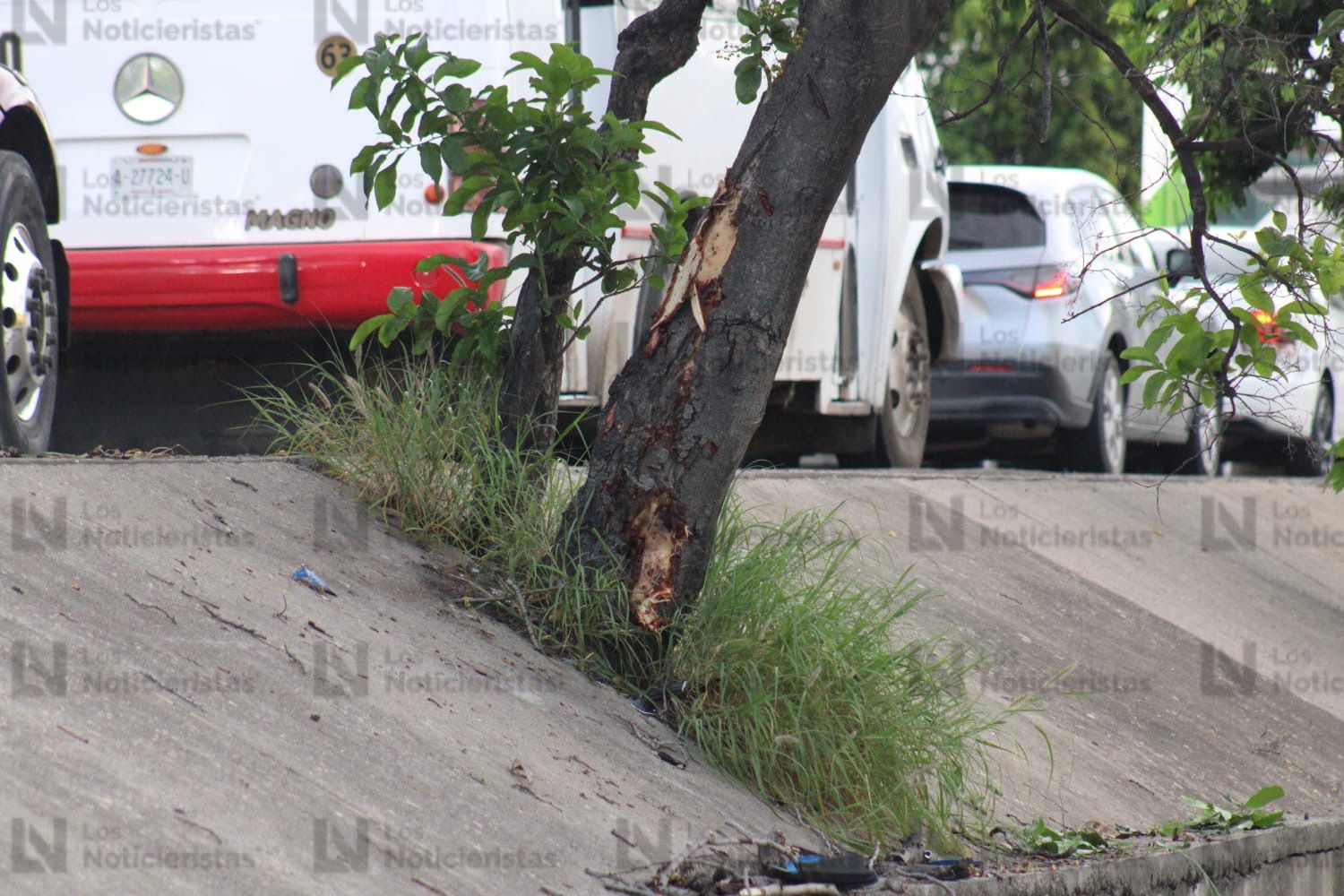 arbol con el que se habrian impactado los motociclistas