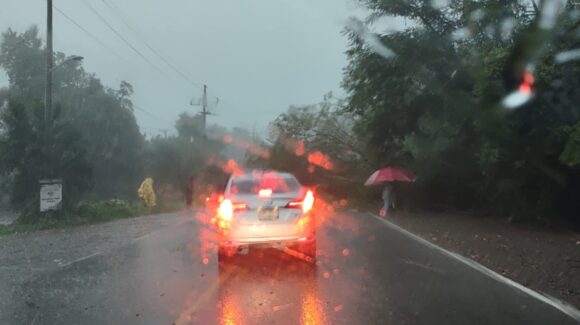Árboles caídos, sectores sin luz y encharcamientos deja tormenta en Guasave