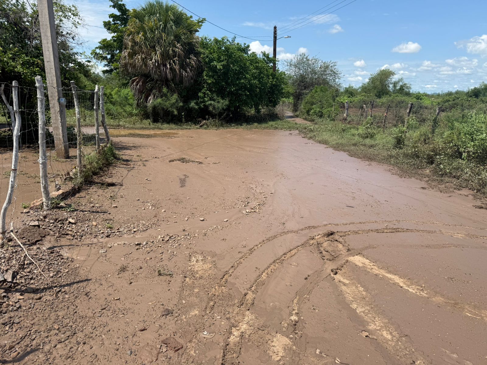 Se les metió el agua hasta el patio; PC vigila el arroyo Cuatro Vientos en Guasave