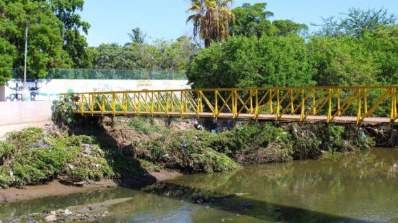 No es tala, es poda y estamos conscientes: Estrella Palacios ante trabajos en el arroyo Jabalines