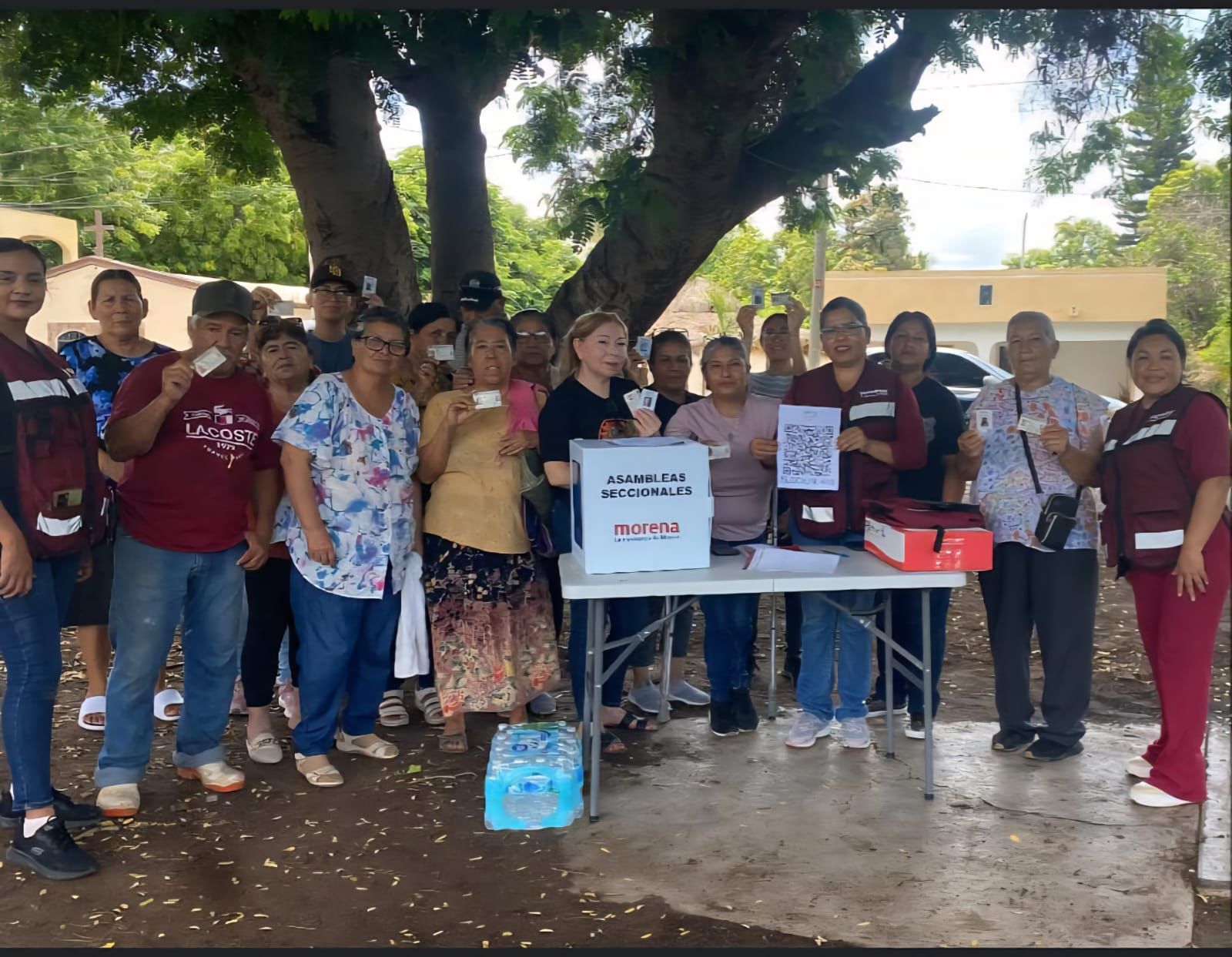 asambleas de morena para la conformacion de sus comites