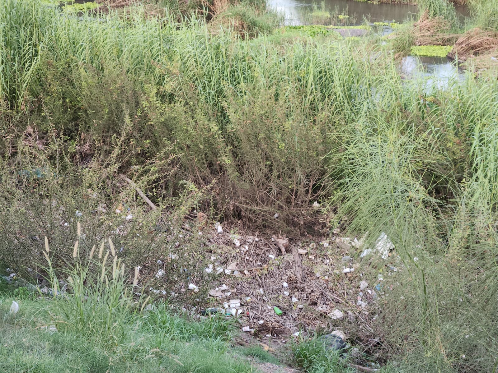 basura en el malecon de guasave