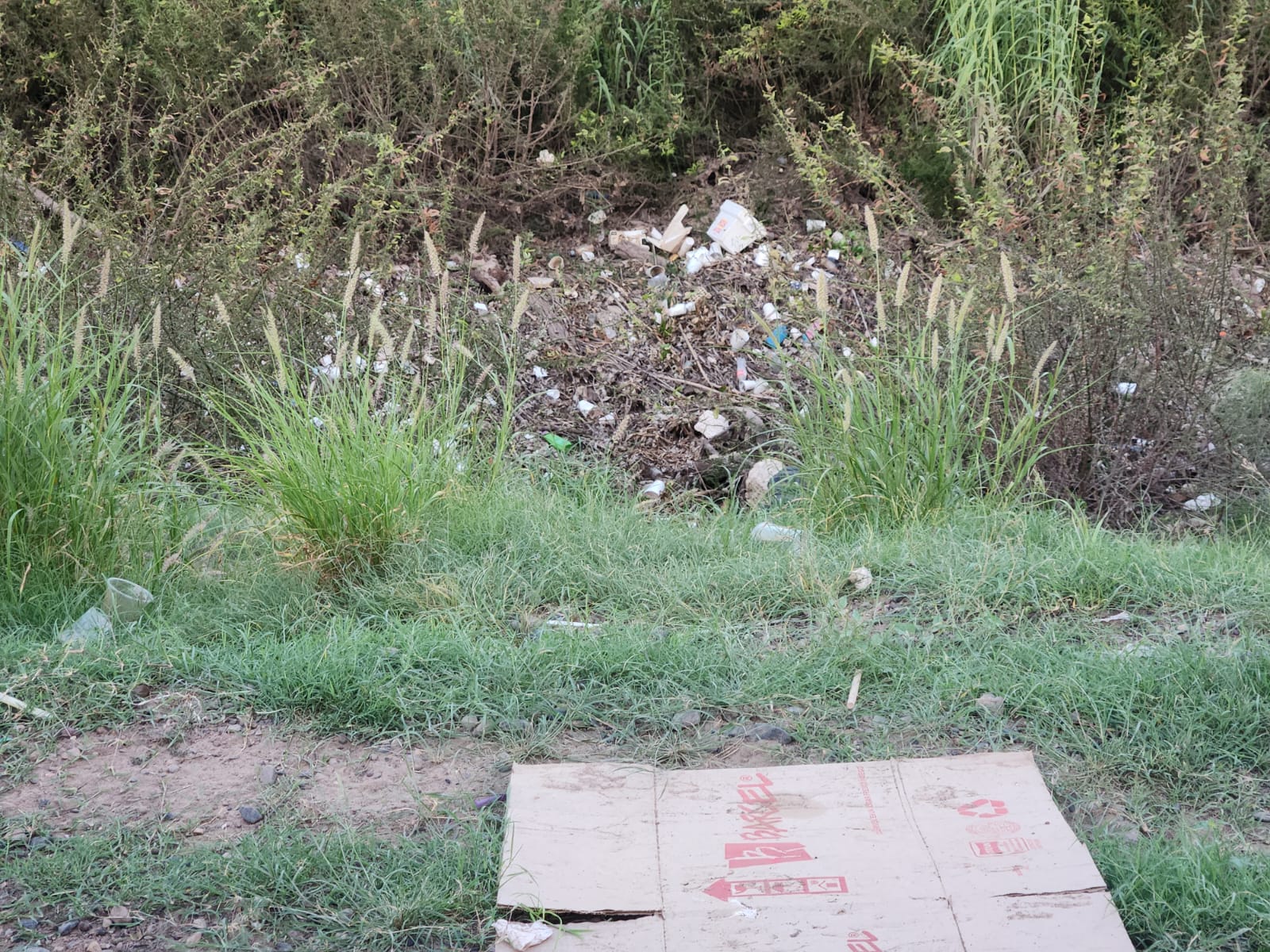 basura en el malecon de guasave