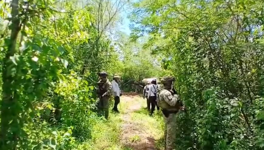 Coelctivo de búsqueda Sinaloa