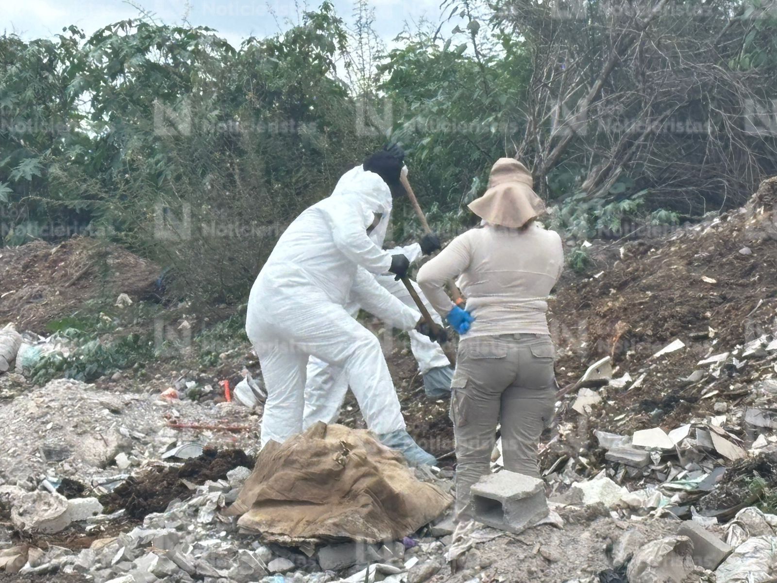Búsqueda de osamentas humanas en sector Aeropuerto de Culiacán