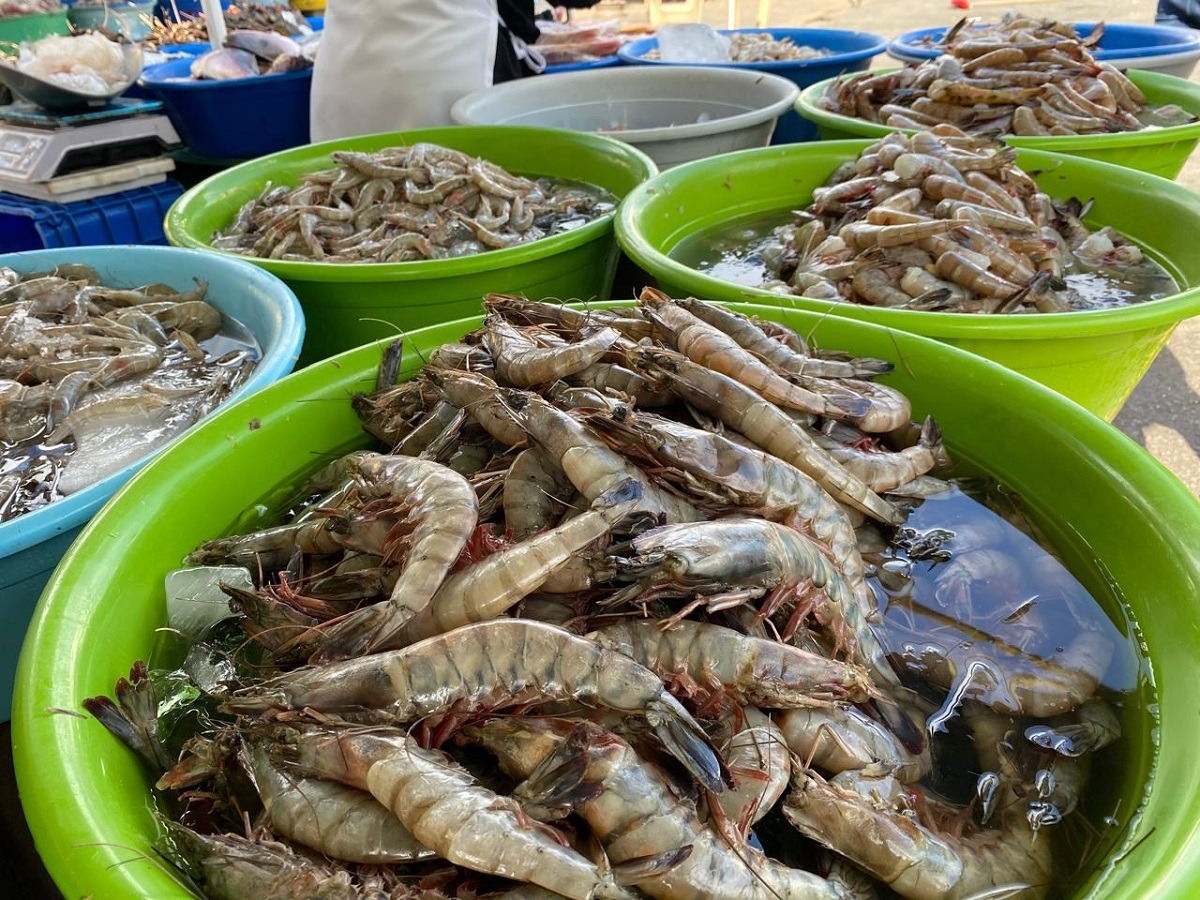 camarón