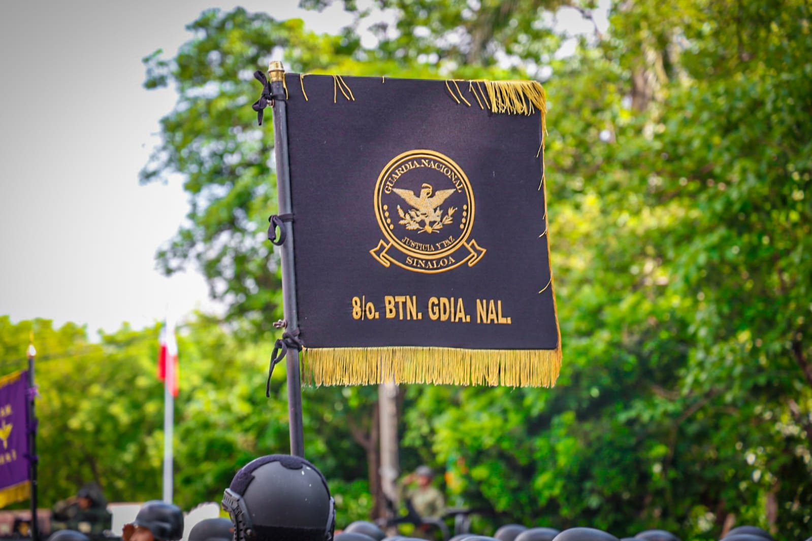 cambios en la novena zona militar de sinaloa logo