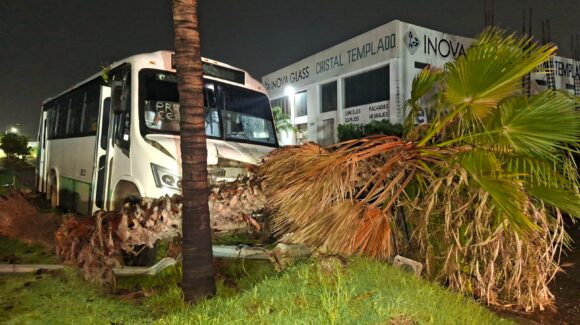 Camión derriba poste y queda varado sobre camellón en Mazatlán
