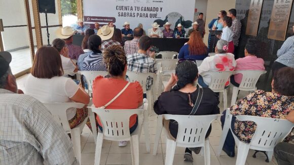 Arranca el censo de ganado en el Évora con la intención de controlar propagación de enfermedades