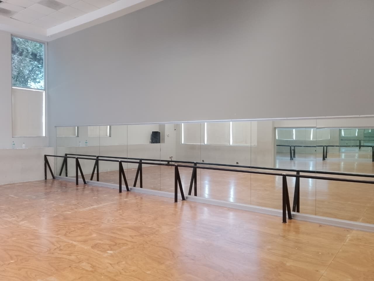 Centro de Atención para el Trastorno del Espectro Autista (TEA) en Guasave