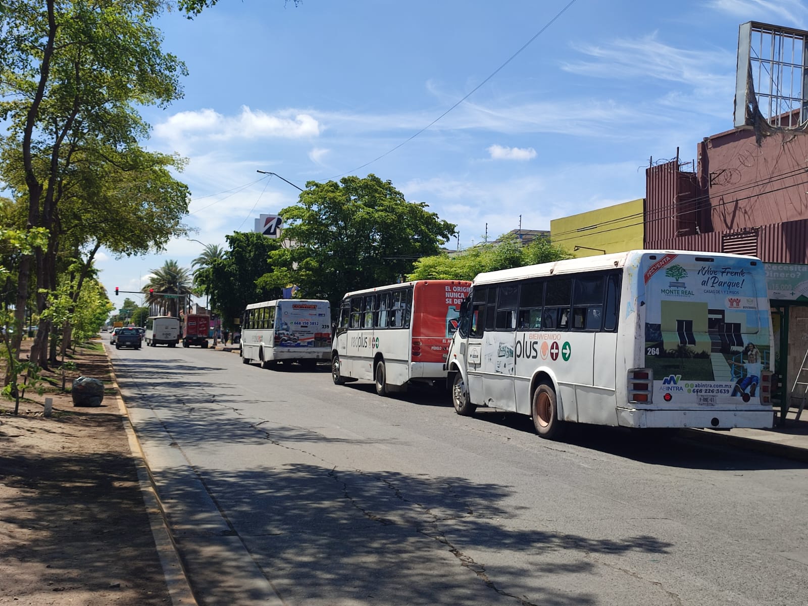 Transporte urbano de Los Mochis