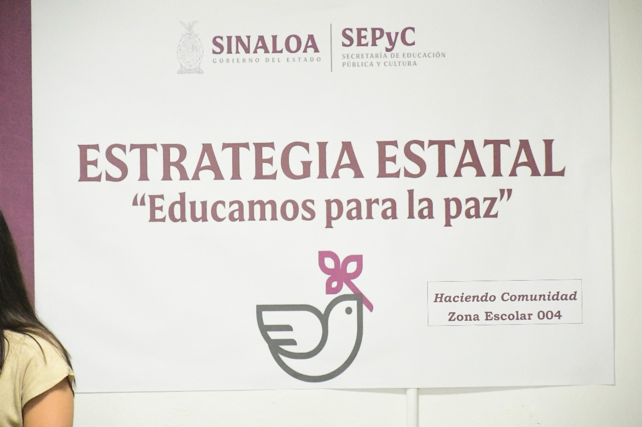 Consejos Técnicos Escolares