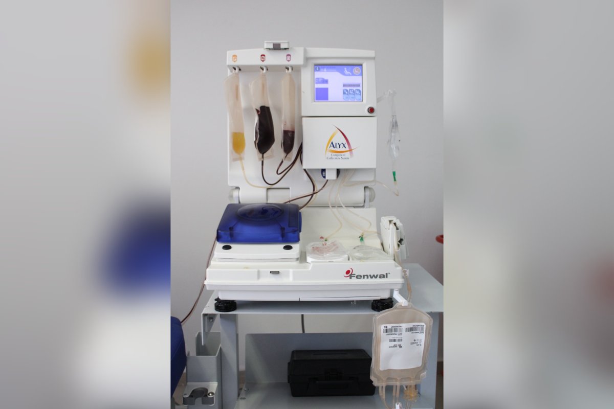 donación de sangre