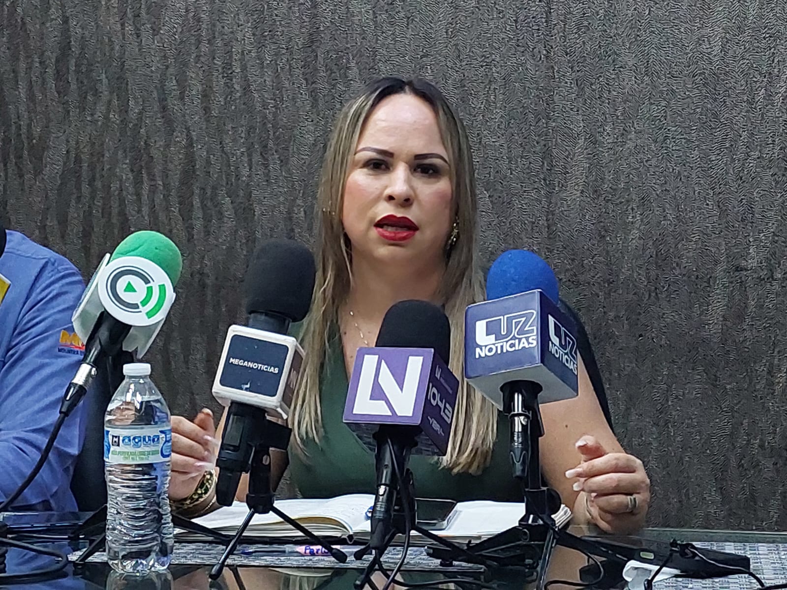 dulce maria ruiz castro