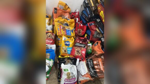 Primer “De Corazón a Croquetón” en Mazatlán recauda mil 200 kilos de alimento para perros y gatos