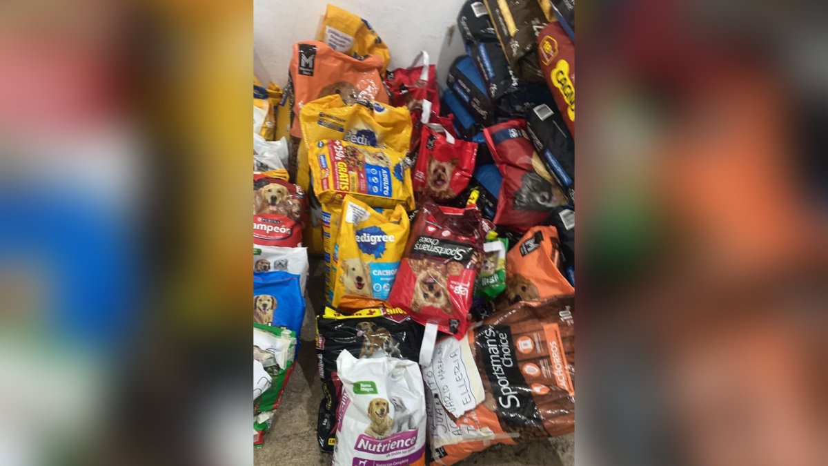 "De corazón a croquetón 2025" en Mazatlán