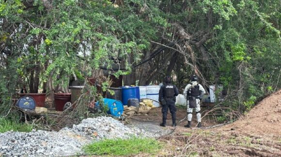 Aseguran y destruyen área de concentración de sustancias para la elaboración de drogas en Mocorito