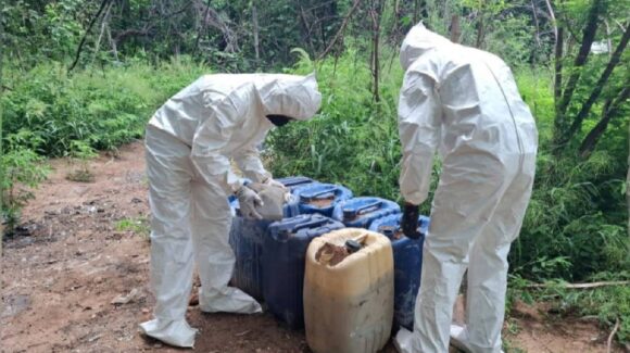 Aseguran dos áreas de concentración de materiales para elaboración de drogas en la zona rural de Culiacán