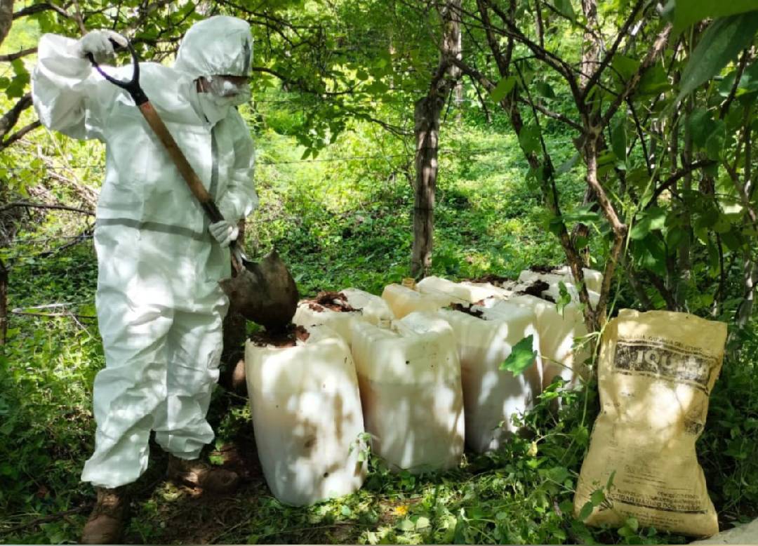 destruyen recipientes utilizados para la elaboracion de drogas