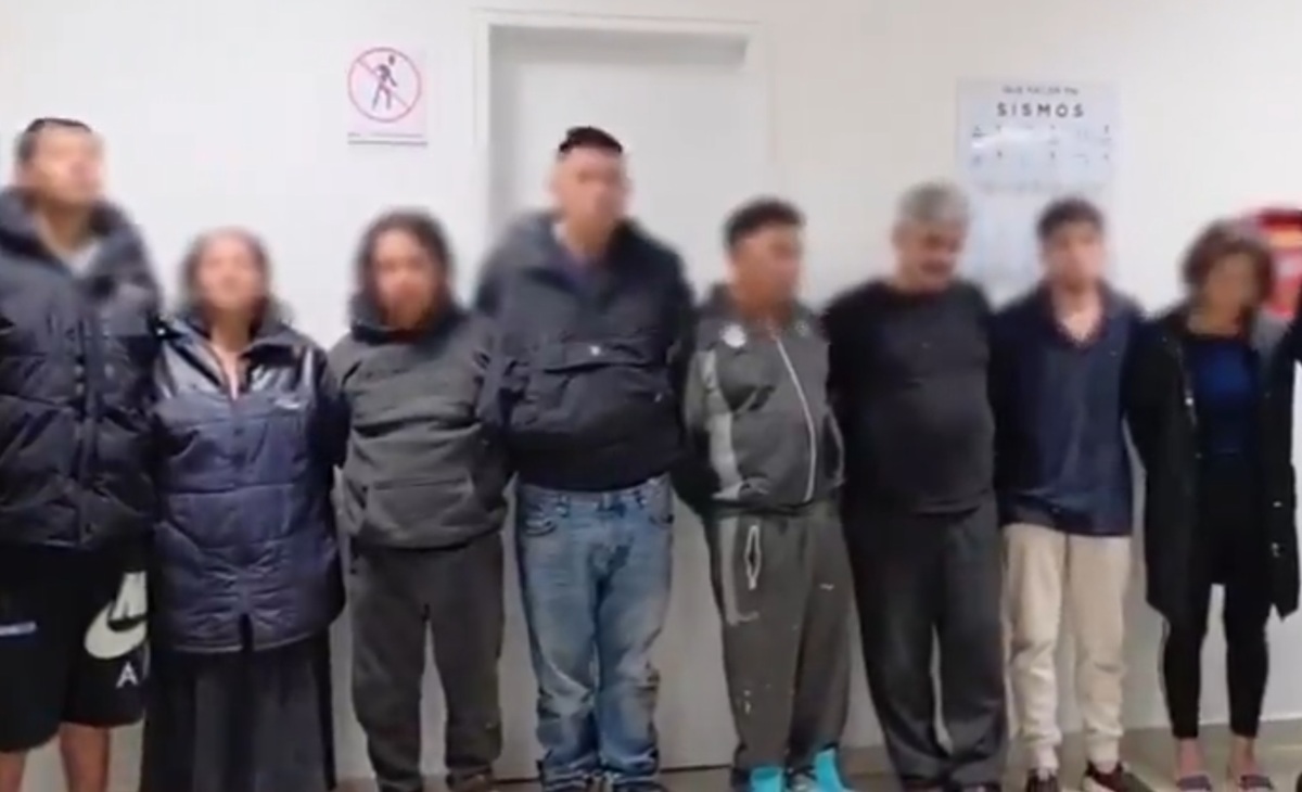 Detenidos de Los Alfas, célula desarticulada