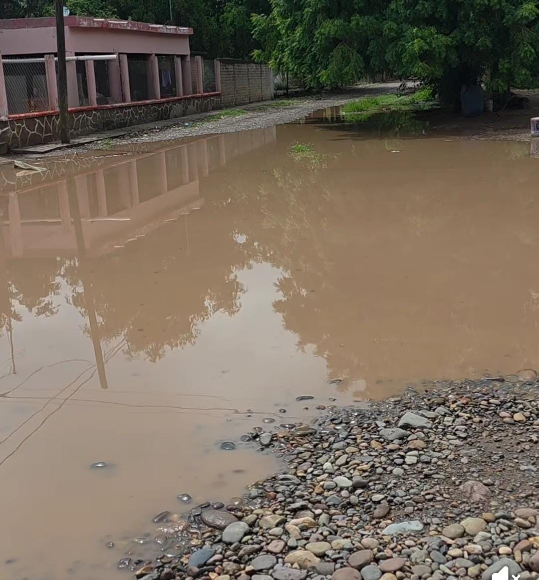 el agua inundo y daño viviendas en comunidades de guasave