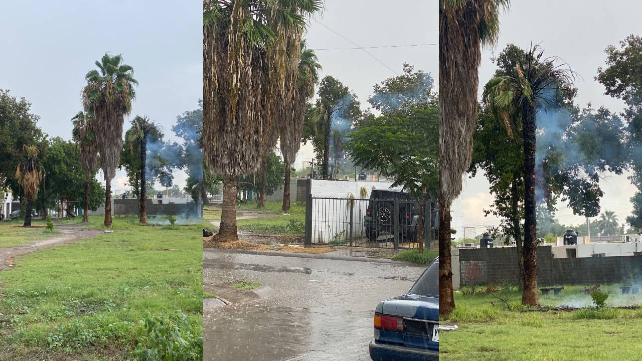 el incendio de la palmera fue sofocado por la misma lluvia
