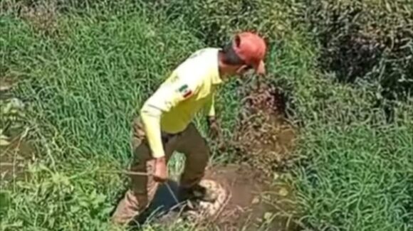 PC Guasave localiza cilindro de gas con fuga abandonado por carretera a Las Glorias