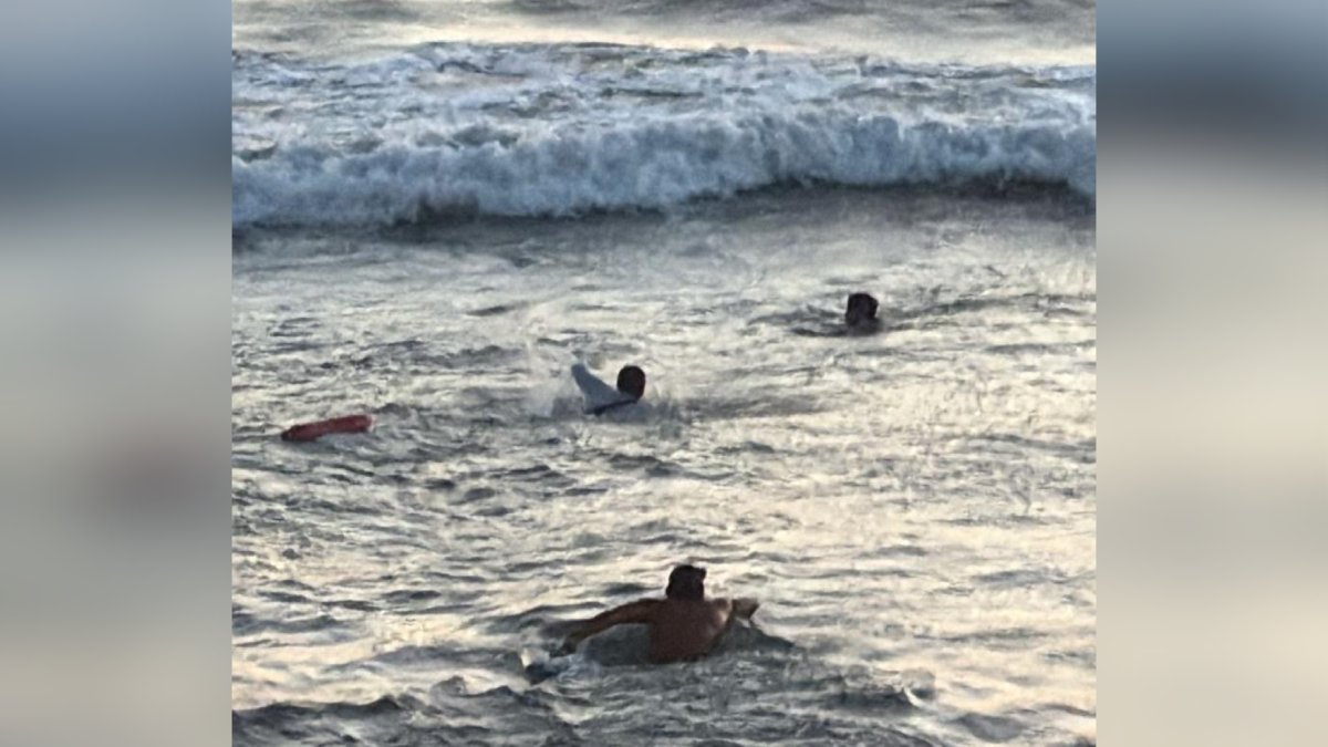 Escuadrón de Salvamento Acuático en Mazatlán