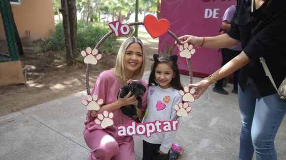 Mazatlán alista una nueva jornada de adopción de mascotas y actividades ecológicas