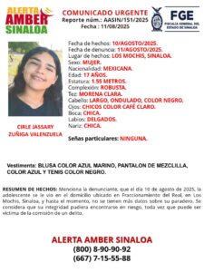 Ficha de búsqueda de Cirle Jassariy Zúñiga Valenzuela, desaparecida en Los Mochis