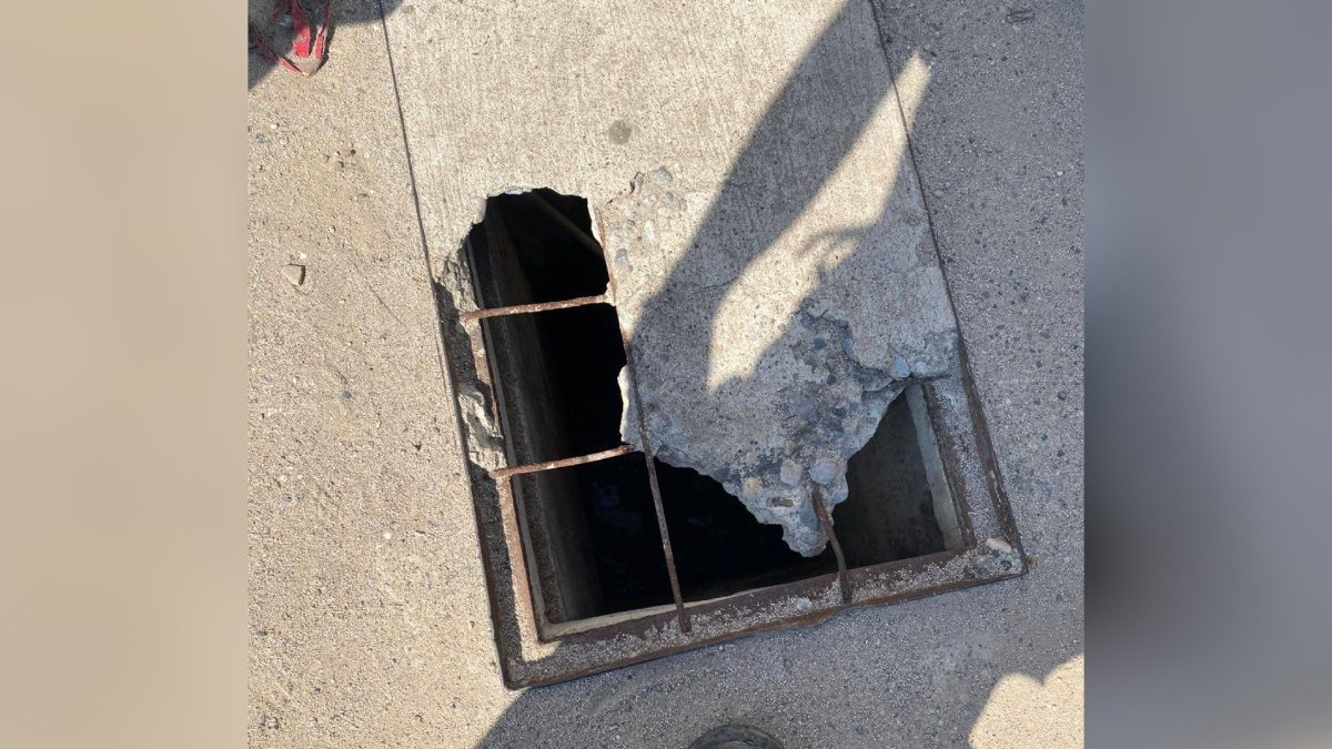 Gatito atrapado en un registro en Mazatlán