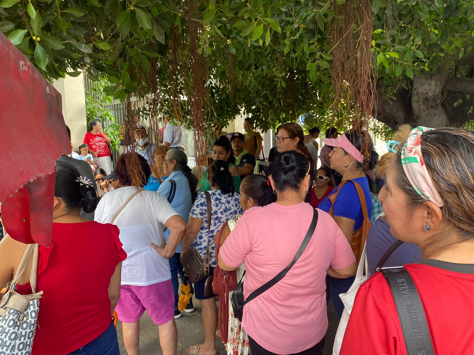 habitantes de cvive en mazatlan sin