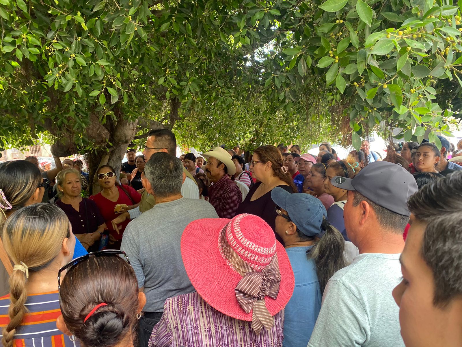 habitantes de cvive en mazatlan
